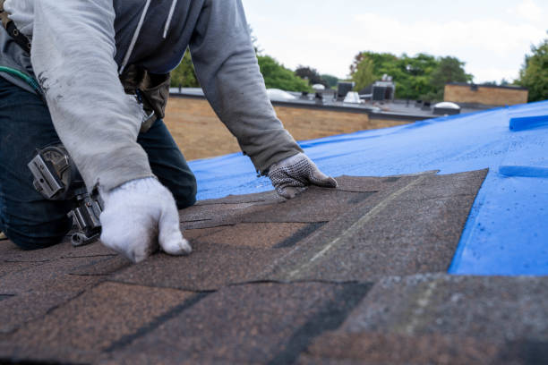 Best Roof Coating and Sealing  in Taylorsville, NC